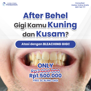 bleac 2